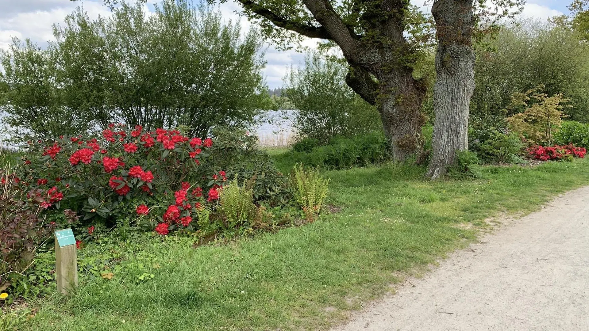 Cottage Yvel Au Pied Du Lac Au Duc, Son Golf Et Sa Base Nautique Ploërmel フランス